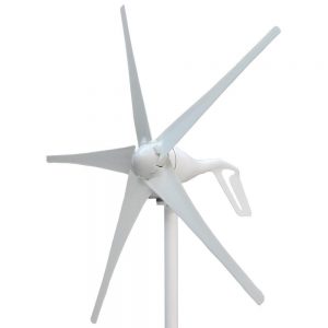 Windmill Coli